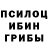 Псилоцибиновые грибы MAGIC MUSHROOMS I5TeN