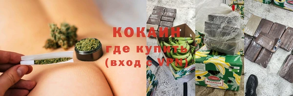 крисы Кулебаки