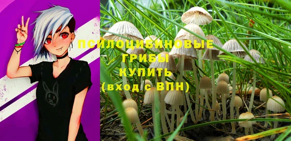 марки nbome Кукмор