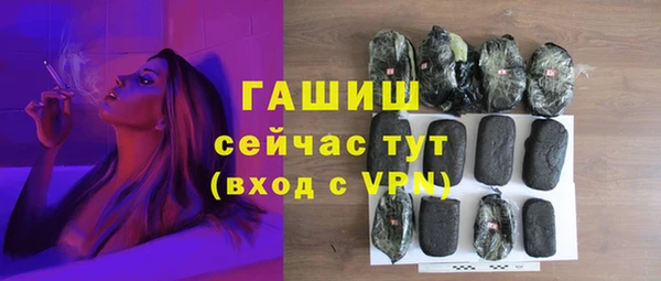 крисы Кулебаки