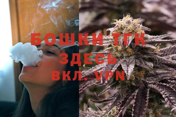 индика Весьегонск