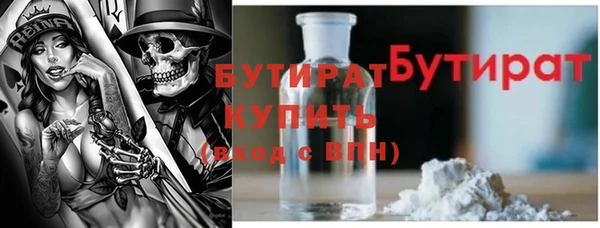 крисы Кулебаки