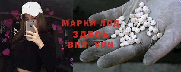 крисы Кулебаки