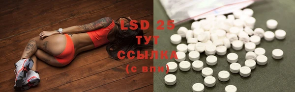 крисы Кулебаки