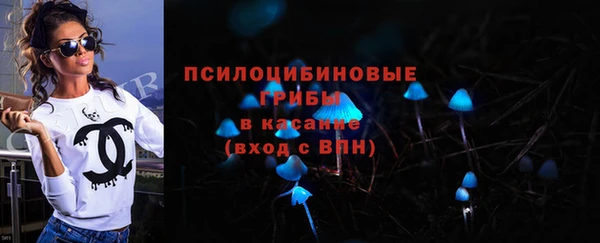 крисы Кулебаки