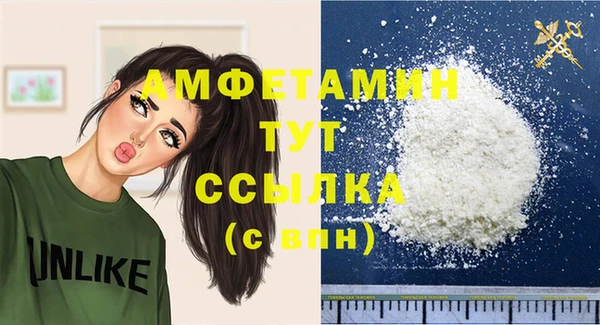 крисы Кулебаки