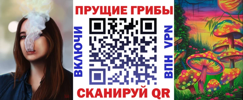 наркотики  Морозовск  Галлюциногенные грибы Psilocybine cubensis 