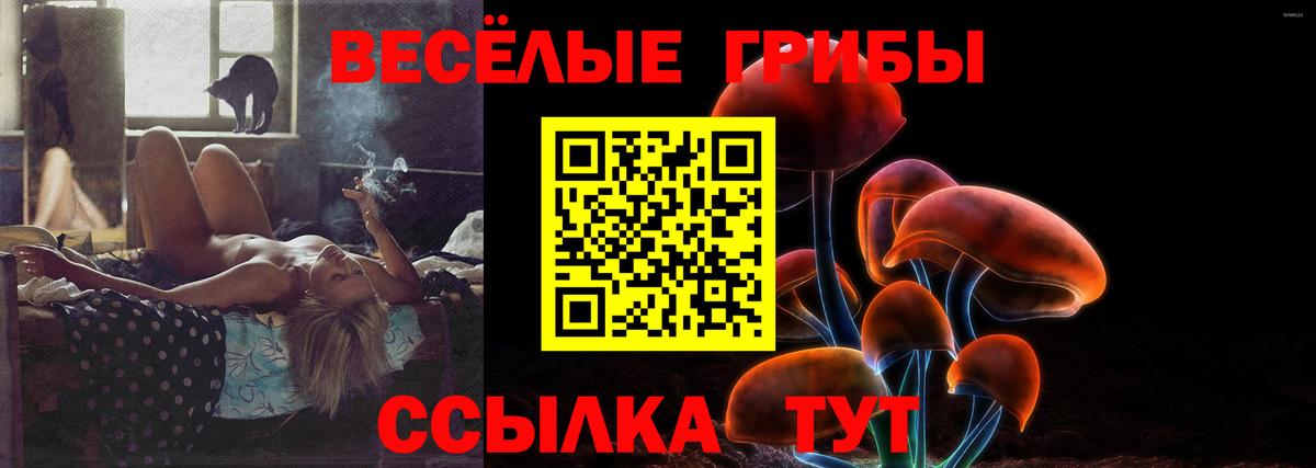 Псилоцибиновые грибы Psilocybe  Вход с VPN  Морозовск  Псилоцибиновые грибы MAGIC MUSHROOMS 