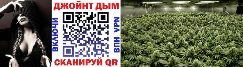 shop какой сайт  Морозовск  Каннабис Amnesia  МЕГА ONION 